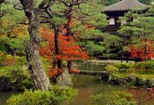 Kyoto 1 Day with Private Guide & Car - 8 hours